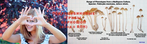 2c-b Пестово