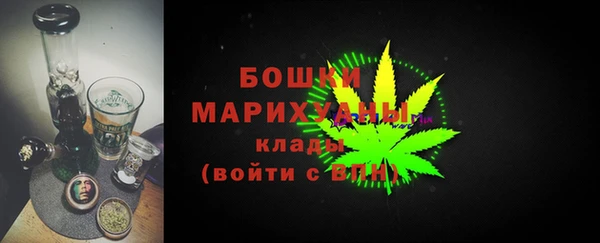 2c-b Пестово