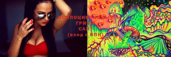 2c-b Пестово
