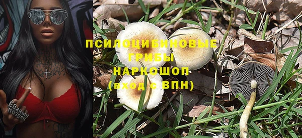 2c-b Пестово