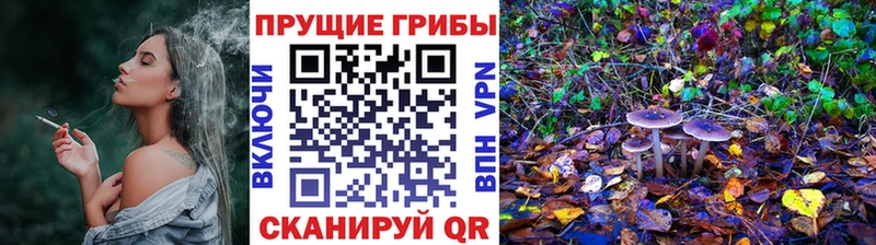 Галлюциногенные грибы мухоморы  магазин продажи   OMG ссылка  Нытва 